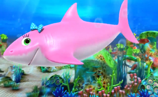 Bebe Requin