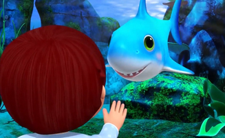 La Danse De Bebe Requin
