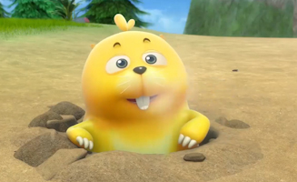 40