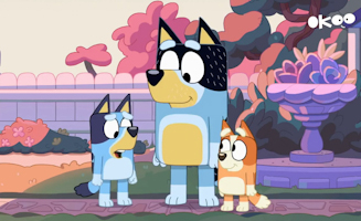 Papa Met Bingo Et Bluey Au Lit
