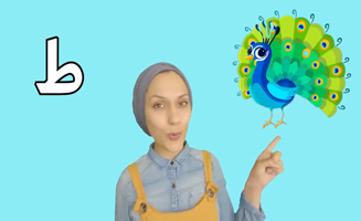 Bugs Alphabets And Transportation