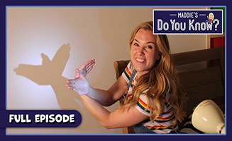 Maddies Do You Know S04E12 Cleaning Window Cradle And Shadow