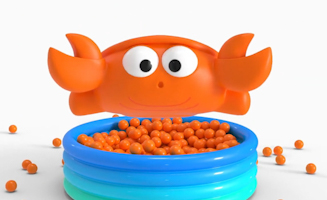 Education - Ball Pit Show 2