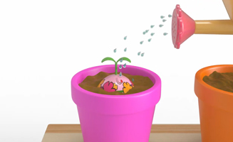 Education - Flowerpot