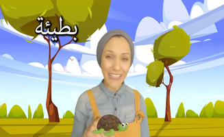 Opposites In Arabic