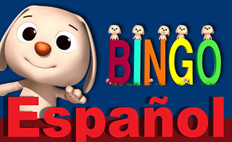 Bingo P2