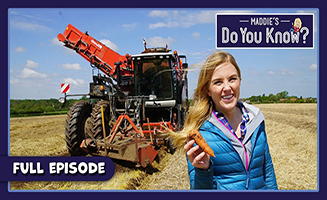 Maddies Do You Know S04E05 Drinking Water And Carrots