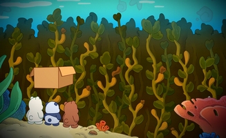 WE Baby Bears S02E16 Return to the Sea