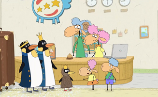 16