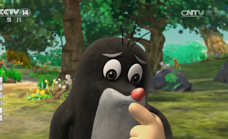 49