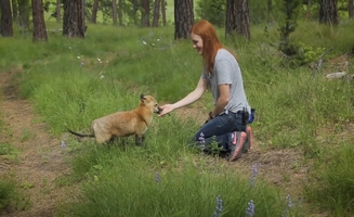 Greet The Animals With Me