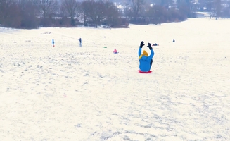 Cody's Snow Day