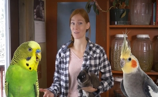 How We Decide Which Animals To Take In