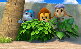 43