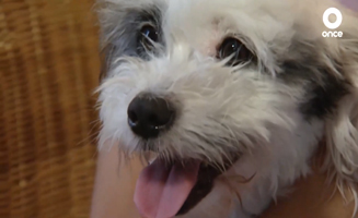 Esterilizacion