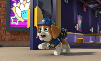 Rubble and Crew S02E23 The Crew Builds a Bowling Alley - The Crew Builds a Superbloom Path