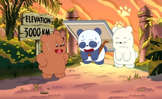 WE Baby Bears S01E17 Triple T Tigers