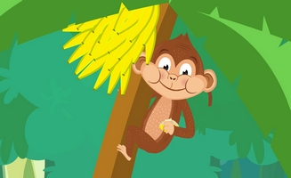 Choco Der Affe