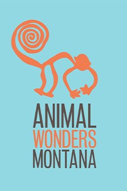 دانلود سریال Animal Wonders Montana
