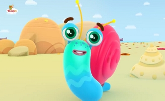 Mr. Snail At The Beach
