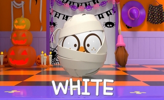 Education - Learn Colors And Words