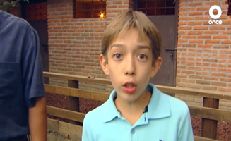 Perro O Gato