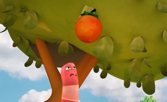 I'm Sorry Tree