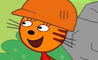 29