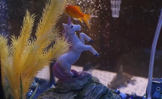 Fishyleaks