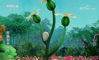Panda And Springbok E08