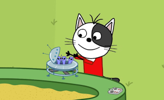 29