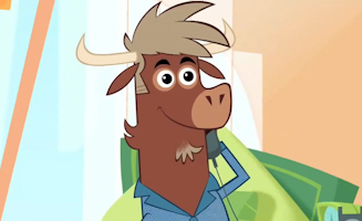 Qui A Fracassre Le Kangourou