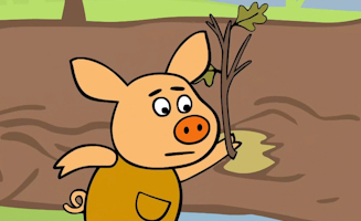 24