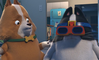 Agent Binky - Pets Of The Universe S03E12 A Prickly Situation - Framing Game