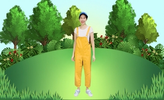 Jungle Animals Workout And Exercise