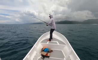 Catch And Cook - Huge Goliath Grouper Part 1