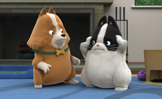 Agent Binky - Pets Of The Universe S02E15E16 Stuck In The Middle - Quaking Up