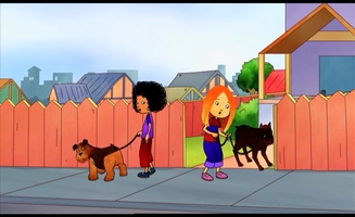 Dog Walking Service