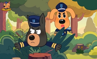 Sheriff Labrador E25