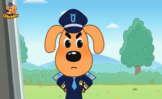 Sheriff Labrador E26