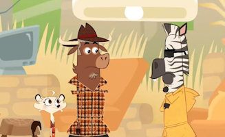 Qui A Dezebre Le Zebre