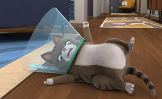 Agent Binky - Pets Of The Universe S02E37E38 Throw Me A Cone - Don't You Be My Valentine