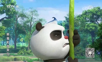 Panda And Kiwi E15