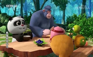 Panda And Kiwi E41