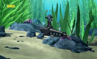 Tauch Timmy Tauch E21