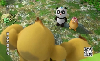 Panda And Kiwi E21