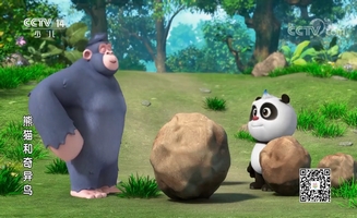Panda And Kiwi E23