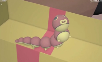 33