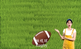 Sports Balls