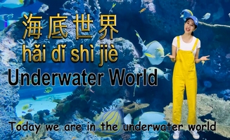 Underwater World